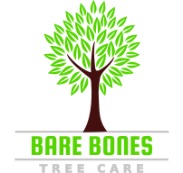 Bare Bones Tree Care